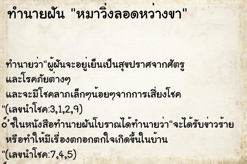 ทำนายฝัน หมาวิ่งลอดหว่างขา ทำนายฝัน หมาวิ่งลอดหว่างขา