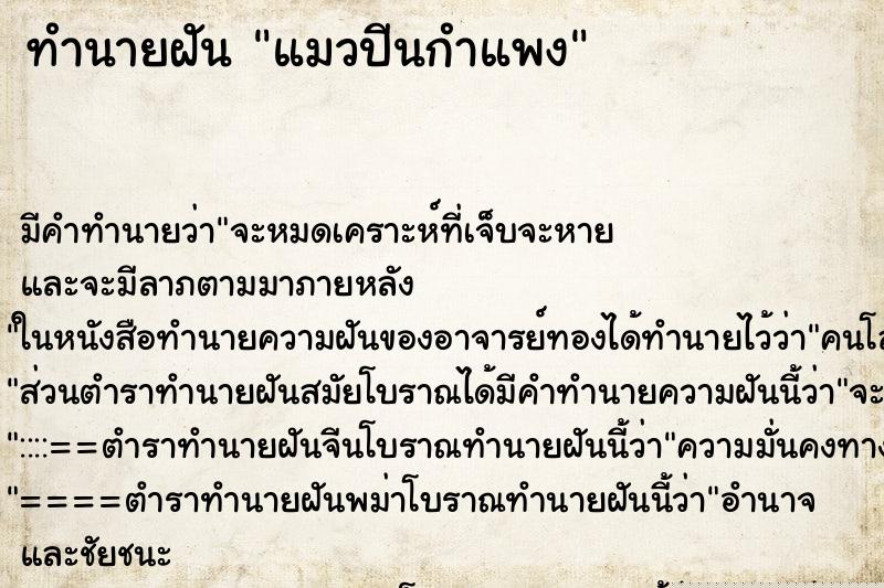 ทำนายฝัน แมวปีนกำแพง ทำนายฝัน แมวปีนกำแพง