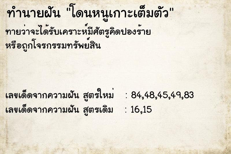 ทำนายฝันทำนายฝันโดนหนูเกาะเต็มตัว