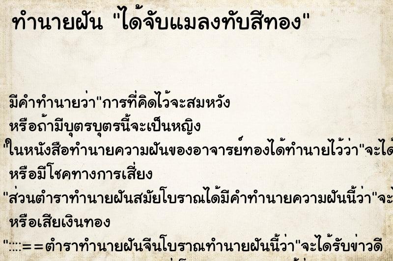 ทำนายฝัน ได้จับแมลงทับสีทอง ทำนายฝัน ได้จับแมลงทับสีทอง