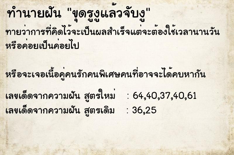 ทำนายฝันขุดรูงูแล้วจับงู ทำนายฝันทำนายฝันขุดรูงูแล้วจับงู