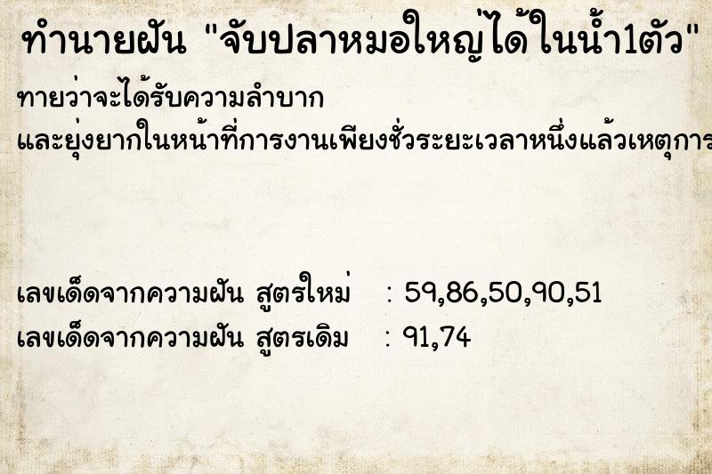 ทำนายฝันทำนายฝันจับปลาหมอใหญ่ได้ในน้ำ1ตัว