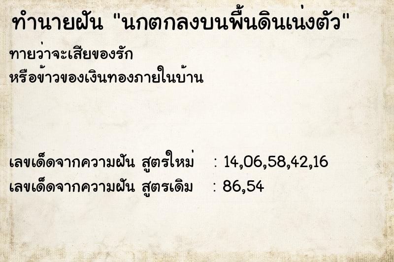 ทำนายฝัน นกตกลงบนพื้นดินเน่งตัว