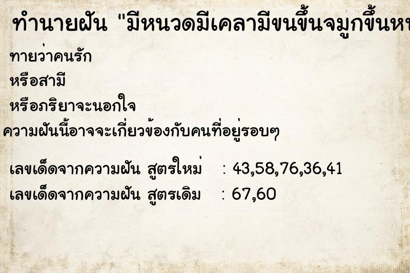 ทำนายฝันมีหนวดมีเคลามีขนขึ้นจมูกขึ้นหน้า ทำนายฝันทำนายฝันมีหนวดมีเคลามีขนขึ้นจมูกขึ้นหน้า