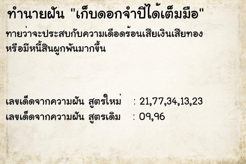 ทำนายฝันเก็บดอกจำปีได้เต็มมือ ทำนายฝันทำนายฝันเก็บดอกจำปีได้เต็มมือ