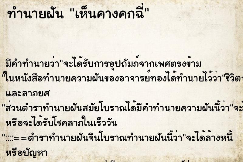 ทำนายฝัน เห็นคางคกฉี่ ทำนายฝัน เห็นคางคกฉี่