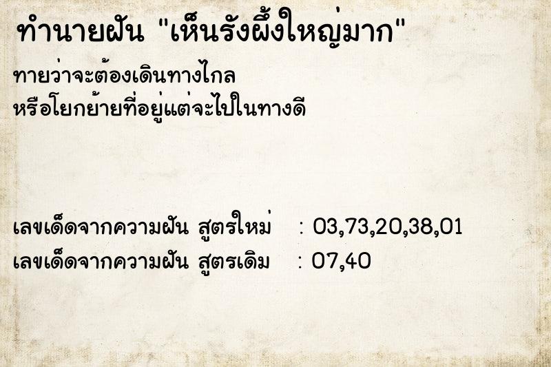 ทำนายฝัน เห็นรังผึ้งใหญ่มาก ทำนายฝัน เห็นรังผึ้งใหญ่มาก