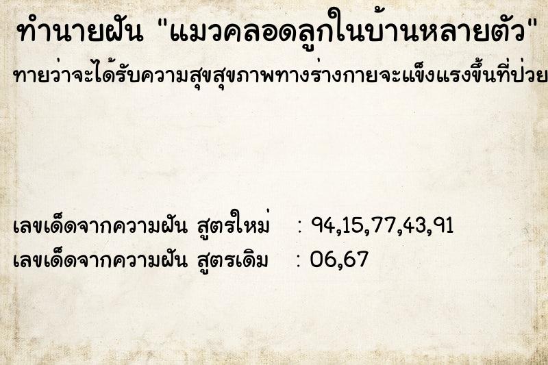 ทำนายฝันแมวคลอดลูกในบ้านหลายตัว ทำนายฝันทำนายฝันแมวคลอดลูกในบ้านหลายตัว