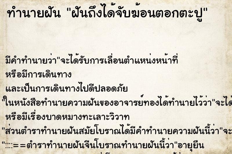 ทำนายฝันฝันถึงได้จับฆ้อนตอกตะปู ทำนายฝันทำนายฝันฝันถึงได้จับฆ้อนตอกตะปู