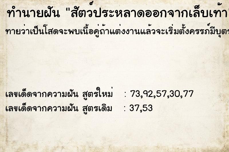 ทำนายฝันทำนายฝันสัตว์ประหลาดออกจากเล็บเท้า