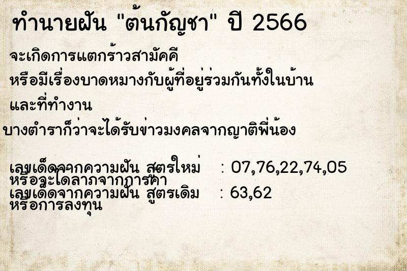 ทำนายฝัน ต้นกัญชา ตำราโบราณ แม่นที่สุดในโลก