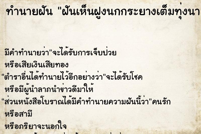 ทำนายฝันทำนายฝันฝันเห็นฝูงนกกระยางเต็มทุ่งนา