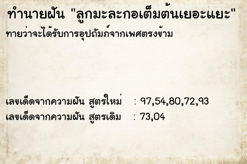 ทำนายฝัน ลูกมะละกอเต็มต้นเยอะแยะ ทำนายฝัน ลูกมะละกอเต็มต้นเยอะแยะ