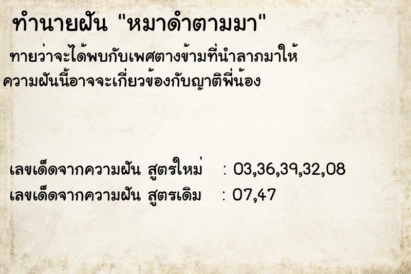 ทำนายฝันหมาดำตามมา ทำนายฝันทำนายฝันหมาดำตามมา