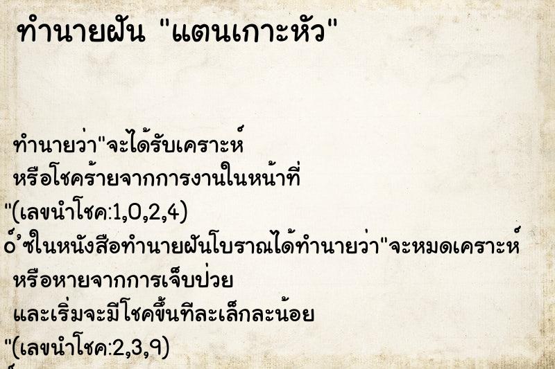 ทำนายฝัน แตนเกาะหัว ทำนายฝัน แตนเกาะหัว