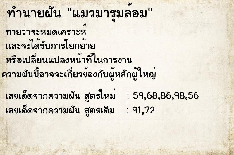 ทำนายฝัน แมวมารุมล้อม ทำนายฝัน แมวมารุมล้อม