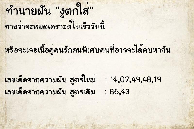 ทำนายฝันงูตกใส่ ทำนายฝันทำนายฝันงูตกใส่