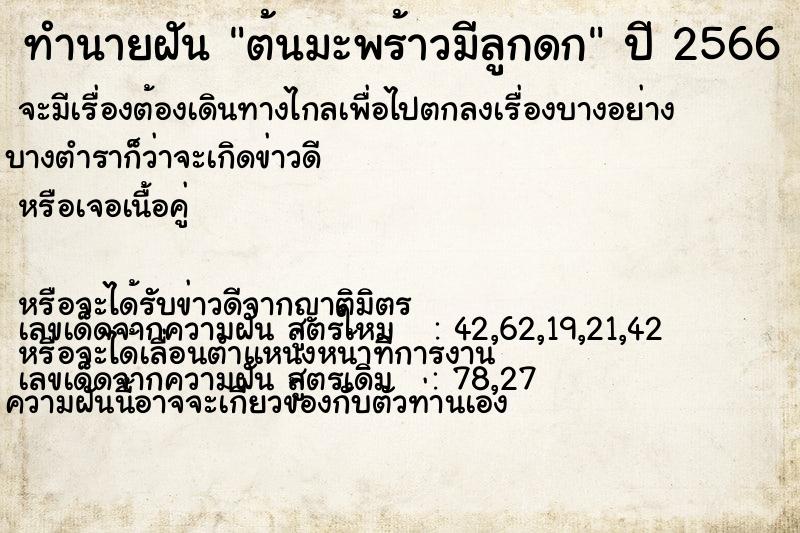 ทำนายฝัน ต้นมะพร้าวมีลูกดก ทำนายฝัน ต้นมะพร้าวมีลูกดก