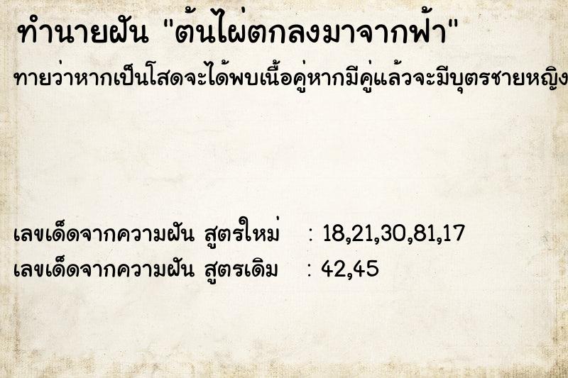 ทำนายฝันต้นไผ่ตกลงมาจากฟ้า ทำนายฝันทำนายฝันต้นไผ่ตกลงมาจากฟ้า