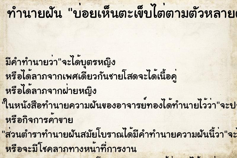 ทำนายฝันบ่อยเห็นตะเข็บไต่ตามตัวหลายตัว ทำนายฝันทำนายฝันบ่อยเห็นตะเข็บไต่ตามตัวหลายตัว