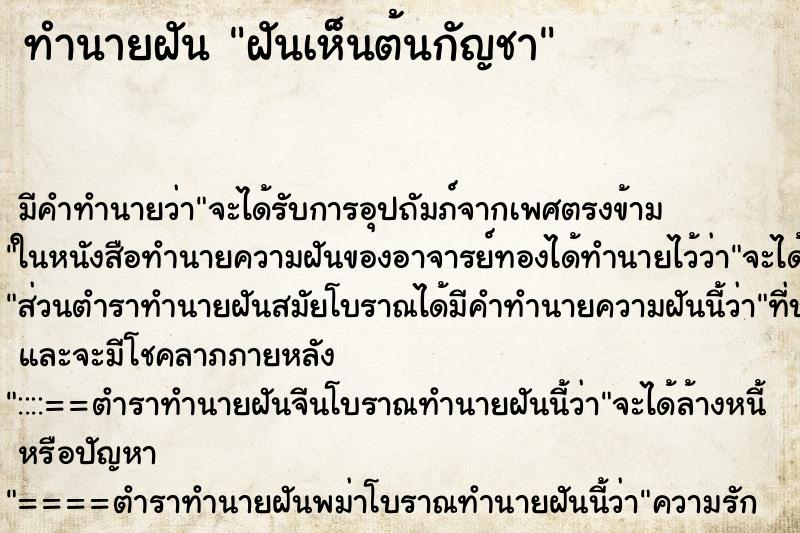 ทำนายฝัน ฝันเห็นต้นกัญชา ทำนายฝัน ฝันเห็นต้นกัญชา
