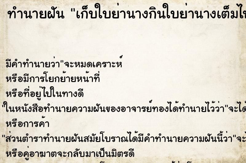 ทำนายฝันเก็บใบย่านางกินใบย่านางเต็มไปหมดและงามมาก ทำนายฝันทำนายฝันเก็บใบย่านางกินใบย่านางเต็มไปหมดและงามมาก