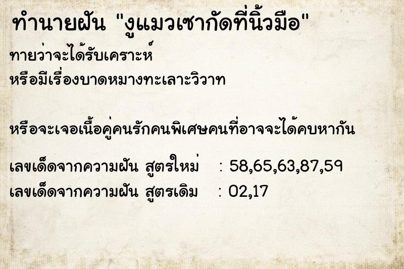 ทำนายฝันงูแมวเซากัดที่นิ้วมือ ทำนายฝันทำนายฝันงูแมวเซากัดที่นิ้วมือ