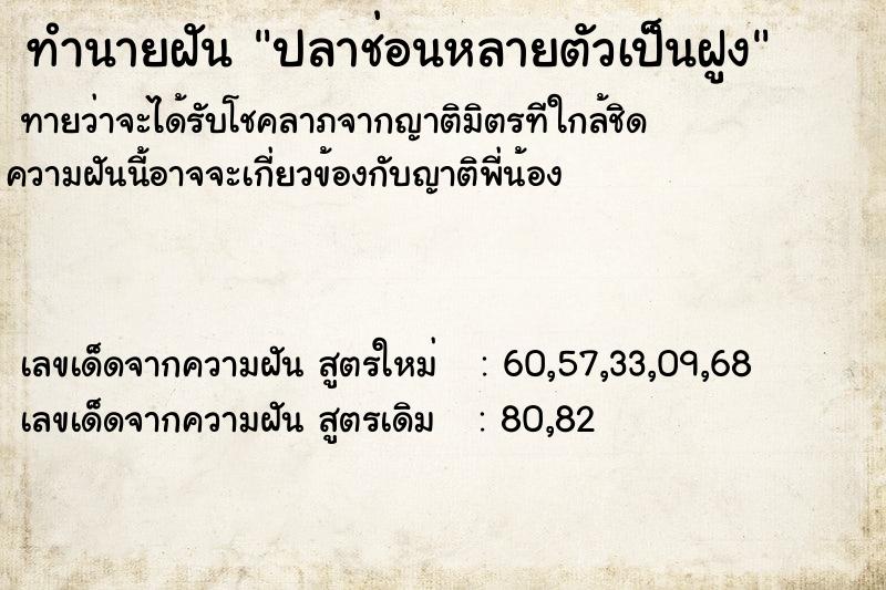 ทำนายฝันปลาช่อนหลายตัวเป็นฝูง ทำนายฝันทำนายฝันปลาช่อนหลายตัวเป็นฝูง