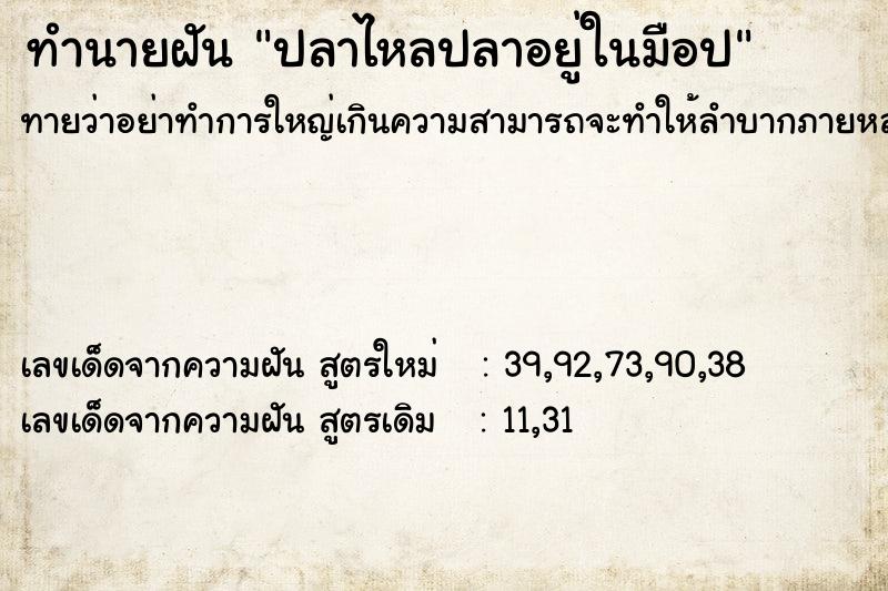 ทำนายฝันปลาไหลปลาอยู่ในมือป ทำนายฝันทำนายฝันปลาไหลปลาอยู่ในมือป