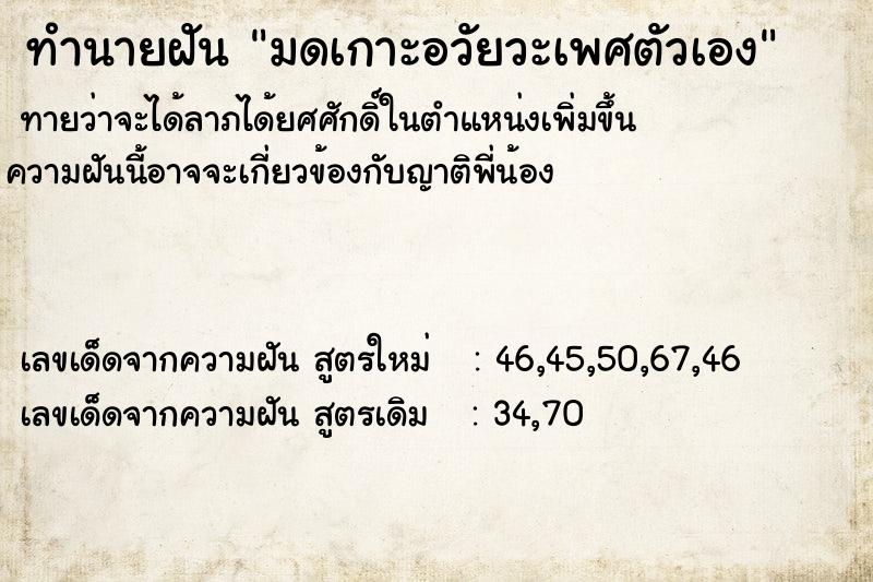 ทำนายฝันทำนายฝันมดเกาะอวัยวะเพศตัวเอง