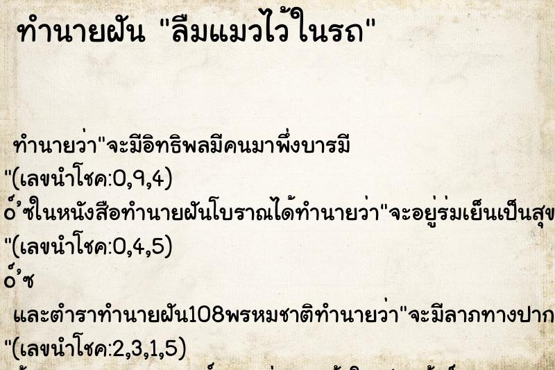 ทำนายฝัน ลืมแมวไว้ในรถ
