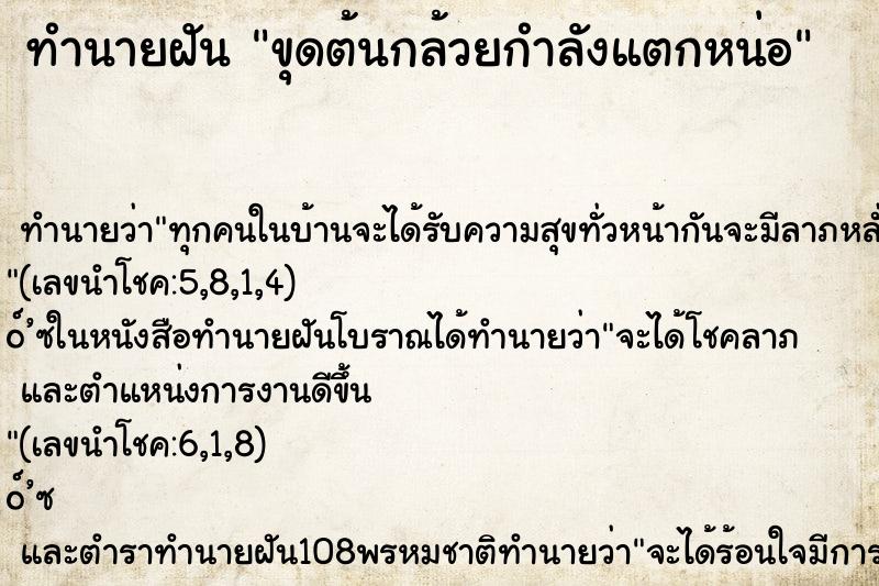 ทำนายฝันทำนายฝันขุดต้นกล้วยกำลังแตกหน่อ