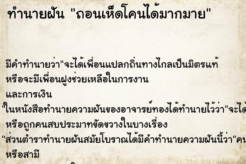 ทำนายฝัน ถอนเห็ดโคนได้มากมาย