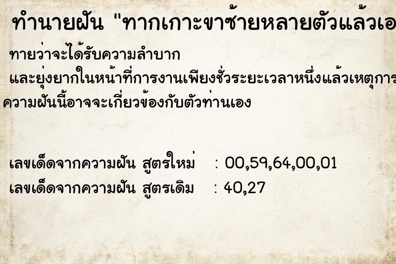 ทำนายฝัน ทากเกาะขาซ้ายหลายตัวแล้วเอามือข้างขวาหยิบออก ทำนายฝัน ทากเกาะขาซ้ายหลายตัวแล้วเอามือข้างขวาหยิบออก