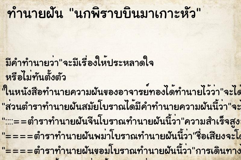 ทำนายฝัน นกพิราบบินมาเกาะหัว ทำนายฝัน นกพิราบบินมาเกาะหัว