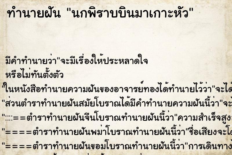 ทำนายฝัน นกพิราบบินมาเกาะหัว ตำราโบราณ แม่นที่สุดในโลก