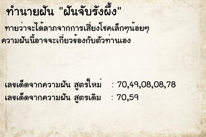 ทำนายฝันทำนายฝันฝันจับรังผึ้ง