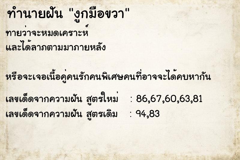 ทำนายฝันงูกมือขวา ทำนายฝันทำนายฝันงูกมือขวา