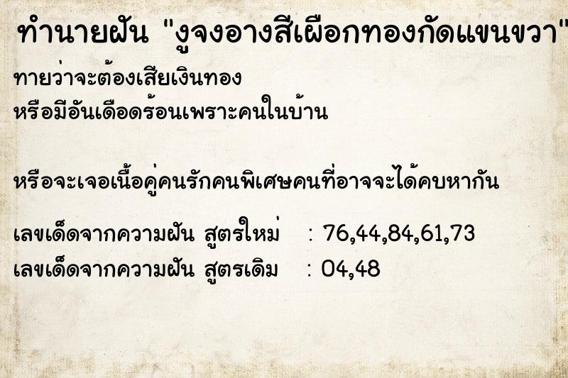 ทำนายฝันทำนายฝันงูจงอางสีเผือกทองกัดแขนขวา