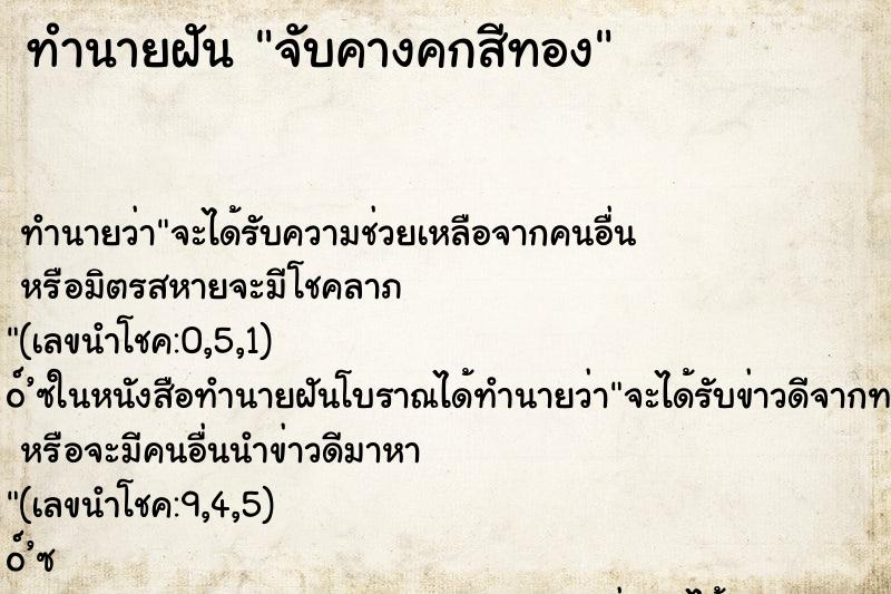 ทำนายฝันจับคางคกสีทอง ทำนายฝันทำนายฝันจับคางคกสีทอง