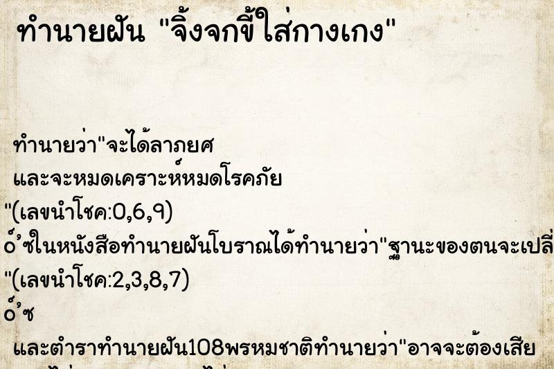 ทำนายฝันจิ้งจกขี้ใส่กางเกง ทำนายฝันทำนายฝันจิ้งจกขี้ใส่กางเกง