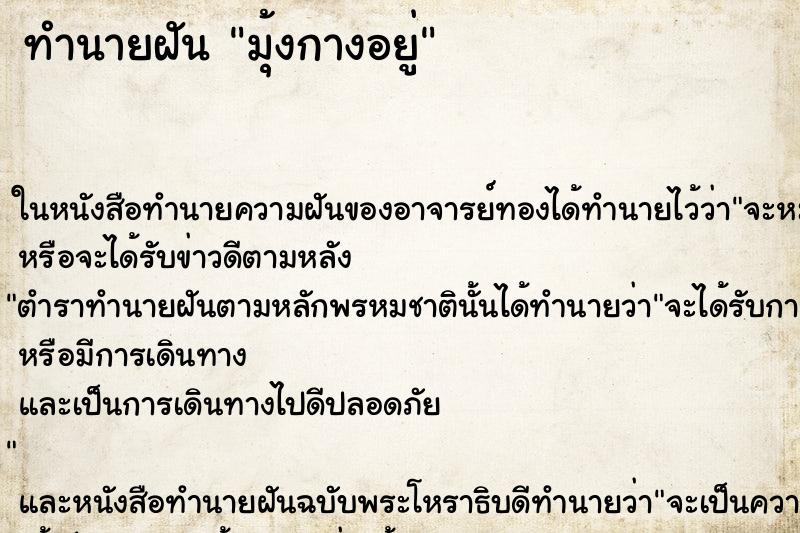 ทำนายฝัน มุ้งกางอยู่ ทำนายฝัน มุ้งกางอยู่