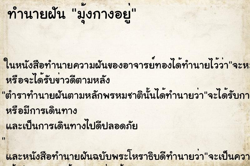 ทำนายฝัน มุ้งกางอยู่ ตำราโบราณ แม่นที่สุดในโลก