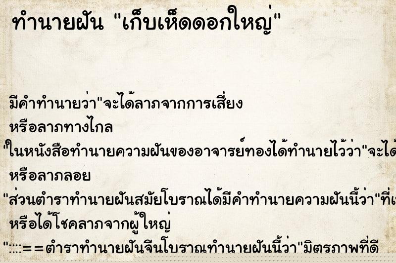 ทำนายฝันเก็บเห็ดดอกใหญ่ ทำนายฝันทำนายฝันเก็บเห็ดดอกใหญ่