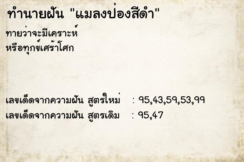 ทำนายฝันทำนายฝันแมลงป่องสีดำ