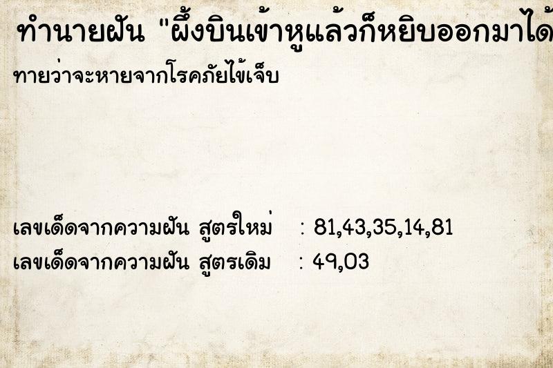 ทำนายฝันผึ้งบินเข้าหูแล้วก็หยิบออกมาได้ ทำนายฝันทำนายฝันผึ้งบินเข้าหูแล้วก็หยิบออกมาได้