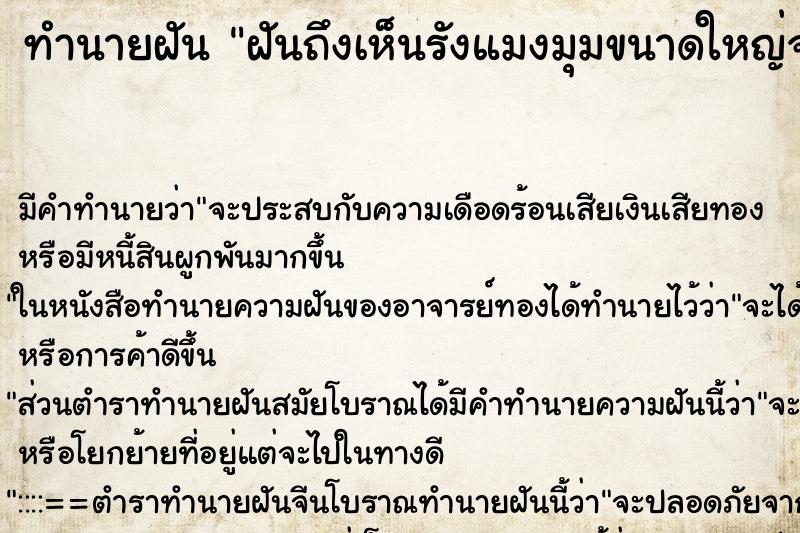 ทำนายฝันฝันถึงเห็นรังแมงมุมขนาดใหญ่จำนวนมาก ทำนายฝันทำนายฝันฝันถึงเห็นรังแมงมุมขนาดใหญ่จำนวนมาก
