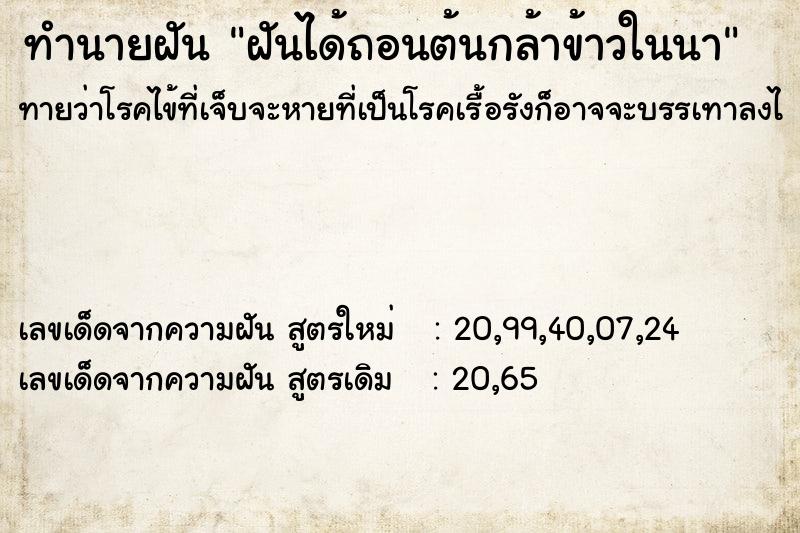 ทำนายฝันฝันได้ถอนต้นกล้าข้าวในนา ทำนายฝันทำนายฝันฝันได้ถอนต้นกล้าข้าวในนา