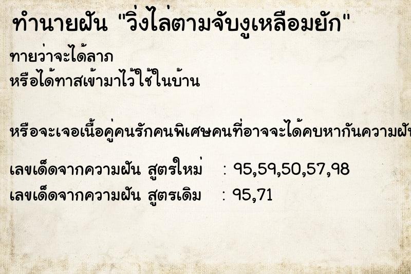 ทำนายฝันวิ่งไล่ตามจับงูเหลือมยัก ทำนายฝันทำนายฝันวิ่งไล่ตามจับงูเหลือมยัก