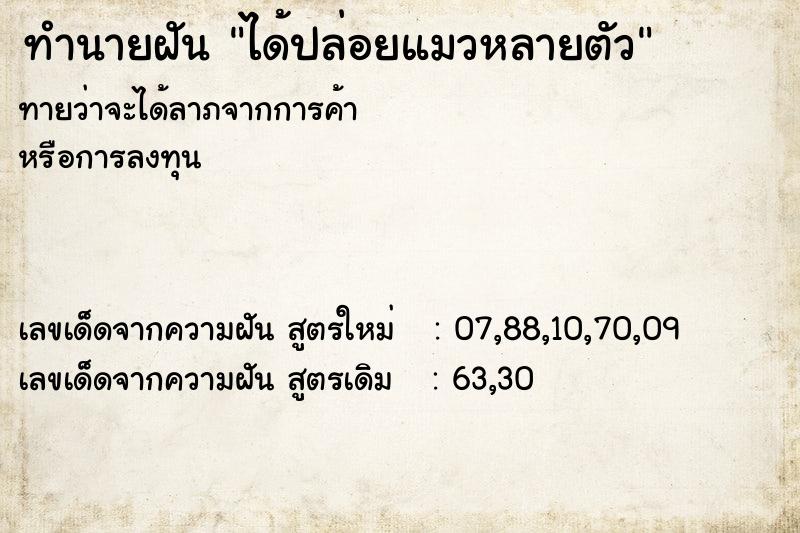 ทำนายฝัน ได้ปล่อยแมวหลายตัว ทำนายฝัน ได้ปล่อยแมวหลายตัว